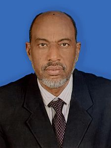 Ali Ahmed Eltohami Ayes